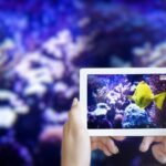 How to Find the Best Video Streaming Apps in 2024