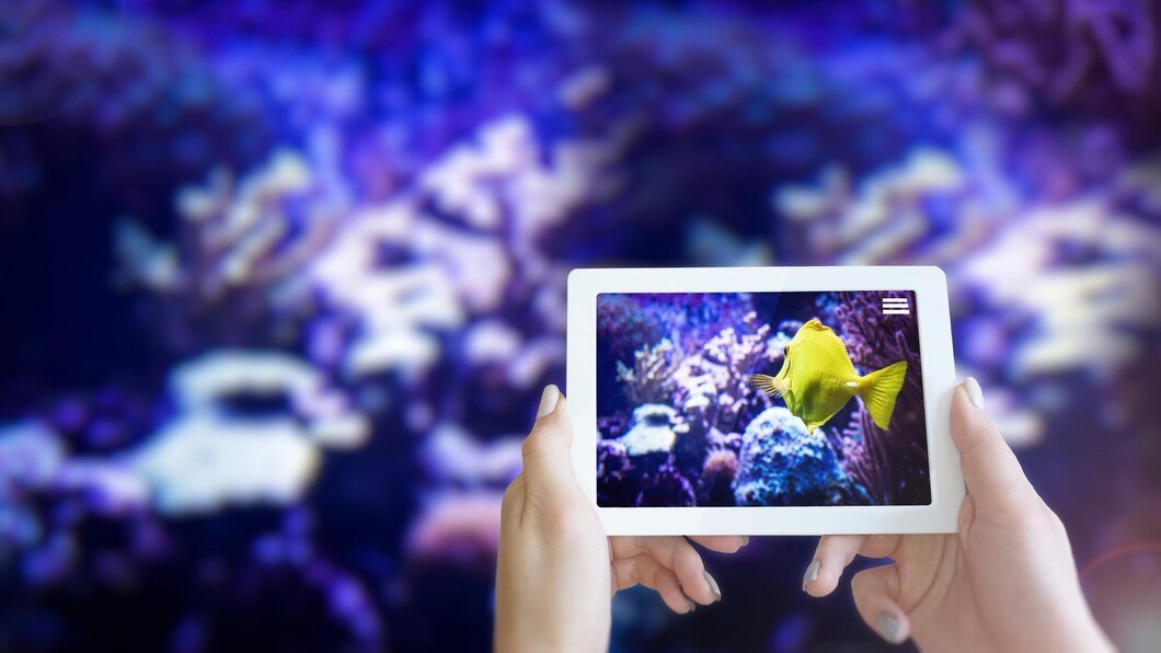 How to Find the Best Video Streaming Apps in 2024